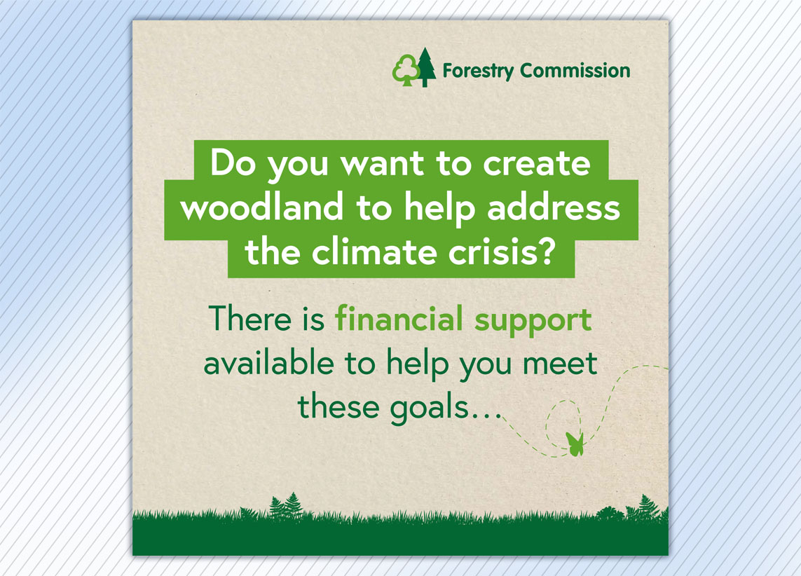 Forestry Commission Create Woodland carousel graphic